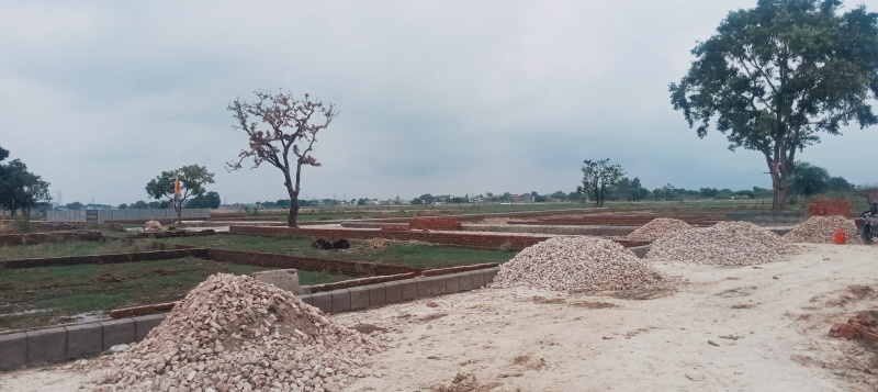  Residential Plot 1000 Sq.ft. for Sale in Sultanpur Road, Lucknow