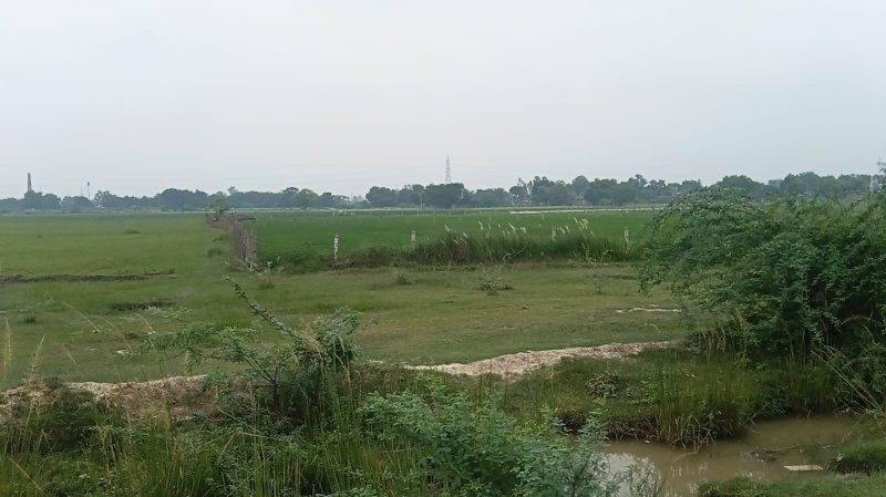  Industrial Land 1 Bigha for Sale in Nawabganj, Unnao