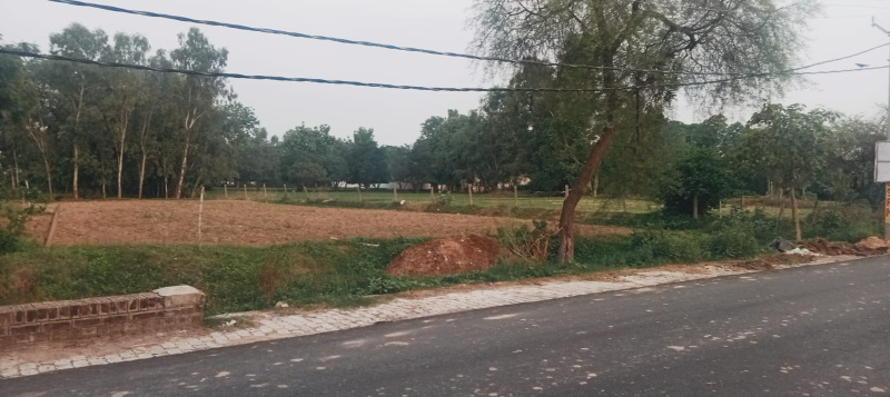  Agricultural Land 10 Bigha for Sale in Mohan Road, Lucknow