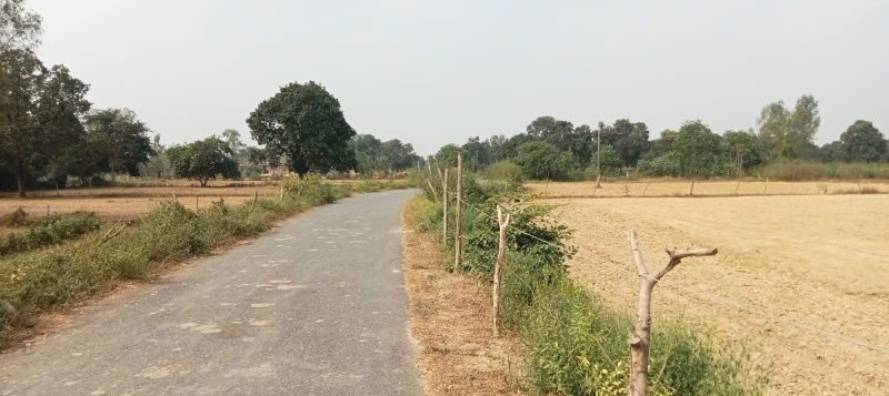  Industrial Land 25 Bigha for Sale in Nawabganj, Unnao