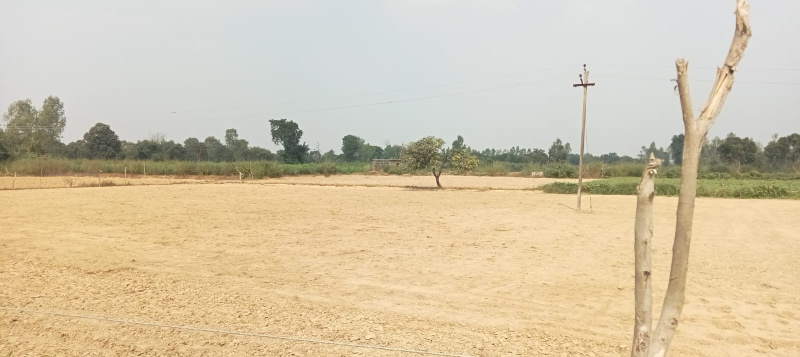  Agricultural Land 4 Bigha for Sale in Nawabganj, Unnao