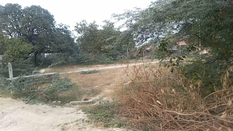  Industrial Land 5 Bigha for Sale in Nawabganj, Unnao