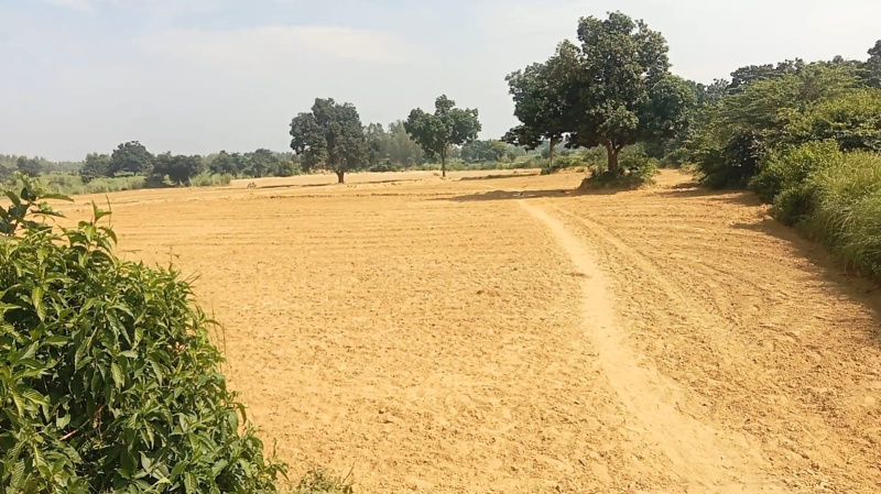  Agricultural Land 14 Bigha for Sale in Purwa, Unnao