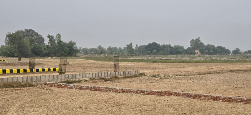  Residential Plot 1000 Sq.ft. for Sale in Awadh Vihar Yojna, Lucknow