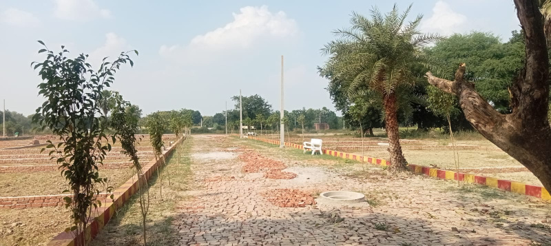  Residential Plot 1000 Sq.ft. for Sale in Kalli Poorab, Lucknow