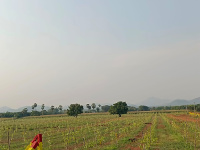  Residential Plot for Sale in Mylavaram, Vijayawada