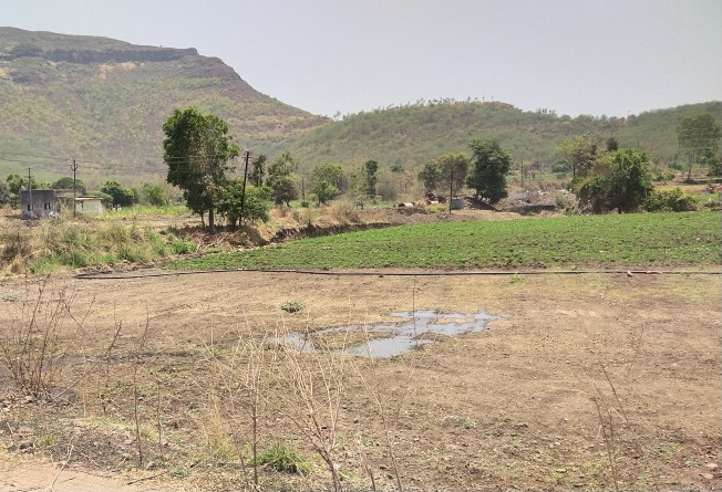 Agricultural Land 46 Guntha for Sale in Mahabaleshwar Road, Satara