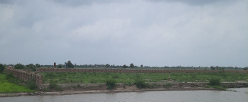  Residential Plot for Sale in Dholera, Ahmedabad