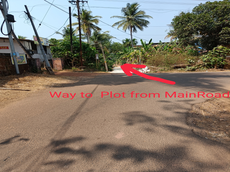 Residential Plot 11 Cent for Sale in Thottada, Kannur