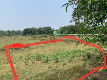 9 Guntha Agricultural Land for Sale in Jajpur Keonjhar Road, Jajapur