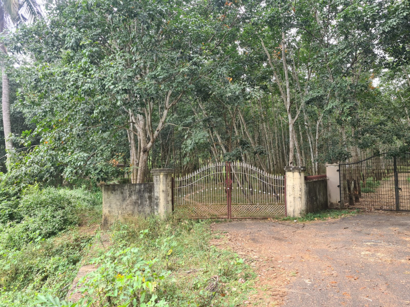  Agricultural Land 3 Ares for Sale in Boothapandi, Kanyakumari