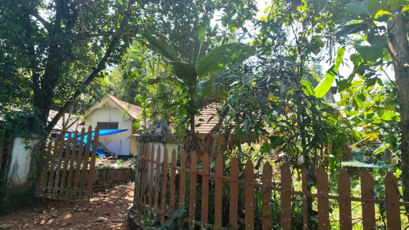 1 BHK 42 Cent Residential Plot for Sale in Angamaly, Ernakulam