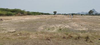  Agricultural Land for Sale in Addakal, Mahbubnagar