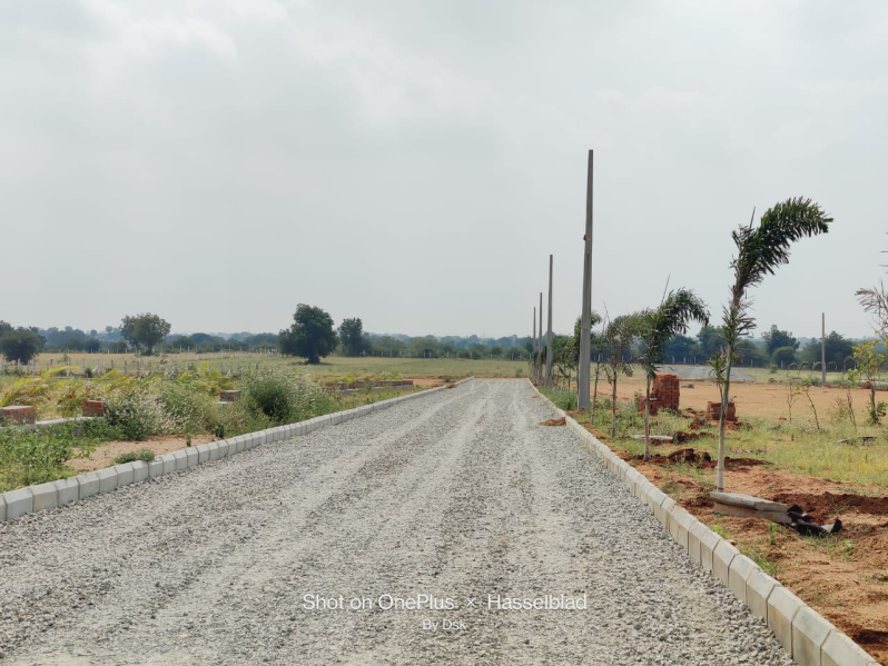  Residential Plot 165 Sq. Yards for Sale in Amangal, Hyderabad