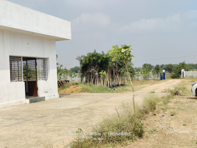  Residential Plot 165 Sq. Yards for Sale in Amangal, Hyderabad