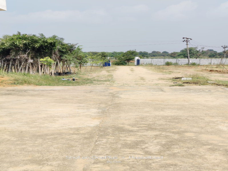  Residential Plot 165 Sq. Yards for Sale in Amangal, Hyderabad