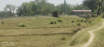  Agricultural Land for Sale in Udwant Nagar Block, Bhojpur