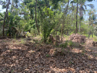  Residential Plot for Sale in Payyannur, Kannur