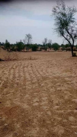  Agricultural Land for Sale in Kulana, Jhajjar
