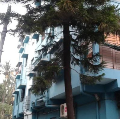 2 BHK Apartment 650 Sq.ft. for Sale in Uttarpara, Hooghly