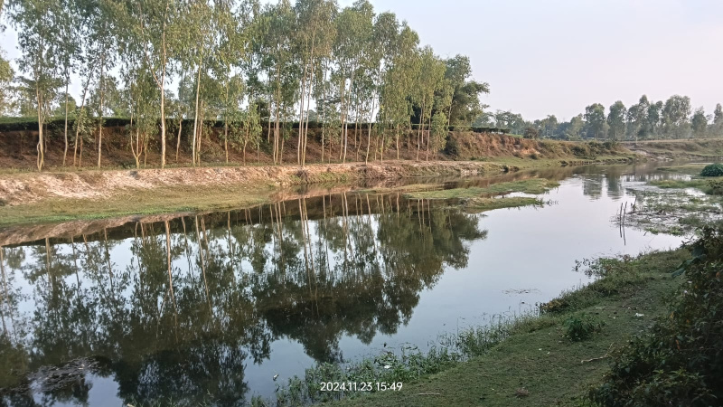  Agricultural Land 25 Bigha for Sale in Fulbari, Siliguri