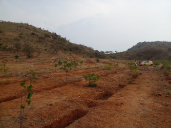  Agricultural Land for Sale in Arani, Tiruvannamalai