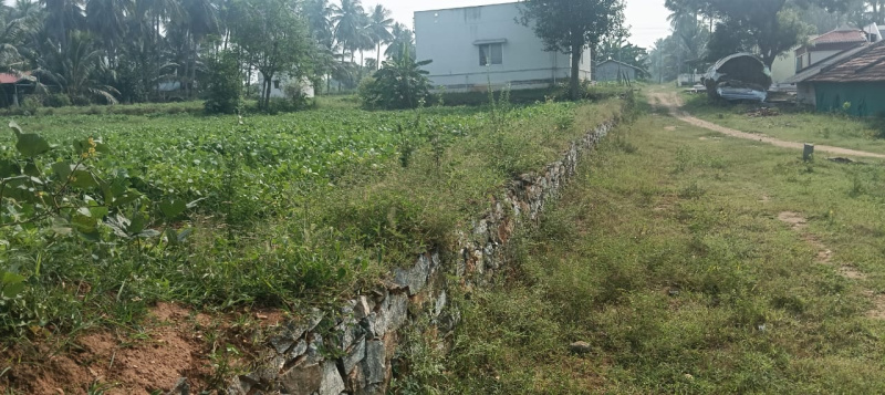 55 Cent Residential Plot for Sale in Tharamangalam, Salem