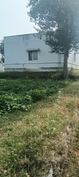 55 Cent Residential Plot for Sale in Tharamangalam, Salem