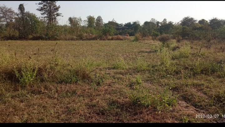  Agricultural Land 6000 Sq.ft. for Sale in Bilimora, Navsari