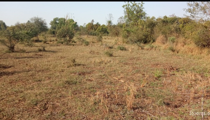  Agricultural Land 6000 Sq.ft. for Sale in Bilimora, Navsari