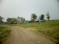  Agricultural Land for Sale in Mhow, Indore