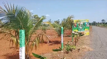  Agricultural Land for Sale in Karunguzhi, Chengalpattu