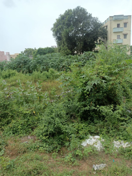  Residential Plot for Sale in Basudev Nagar, Berhampur