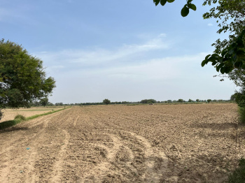  Agricultural Land for Sale in Kulana, Jhajjar