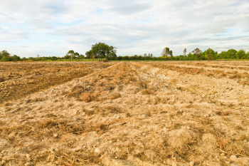  Agricultural Land for Sale in Thuraiyur, Tiruchirappalli