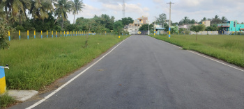  Residential Plot for Sale in Minjur, Chennai