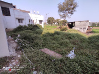  Residential Plot for Sale in Fursungi, Pune
