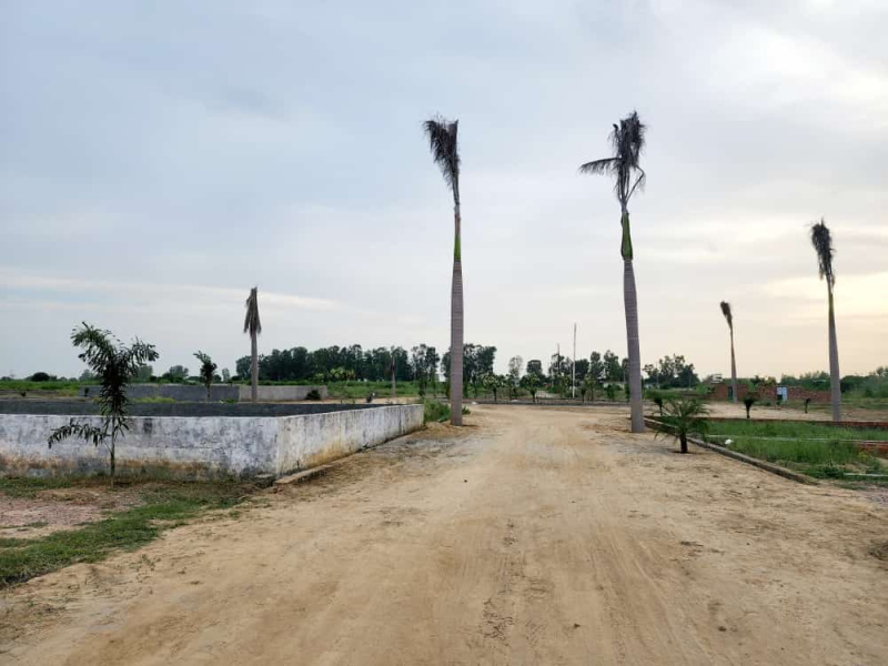  Residential Plot 100 Sq. Yards for Sale in Tappal, Aligarh