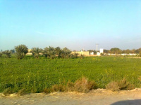  Agricultural Land for Sale in Ganaur, Sonipat