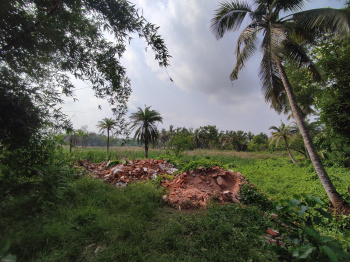  Residential Plot for Sale in Bagree Market, Kolkata