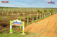  Agricultural Land for Sale in Poondi, Thiruvallur