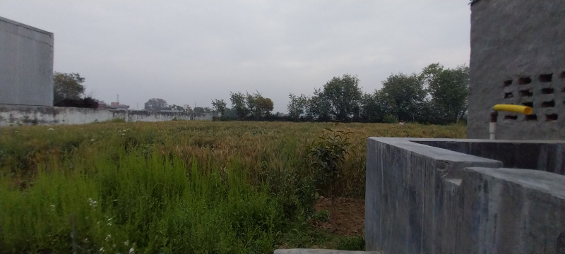  Residential Plot 925 Sq. Yards for Sale in Sahupura, Faridabad