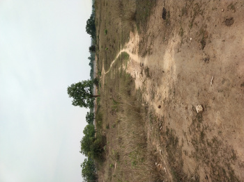  Industrial Land for Sale in Kalunga, Rourkela