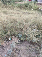  Residential Plot for Sale in Beas, Amritsar