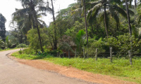  Residential Plot for Sale in Sulya, Dakshin Kannad