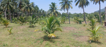  Agricultural Land for Sale in Ammapettai Erode