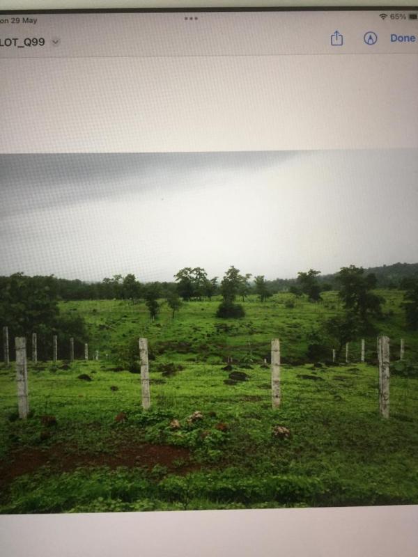  4000 Sq.ft. Residential Plot for Sale in Khardi, Thane