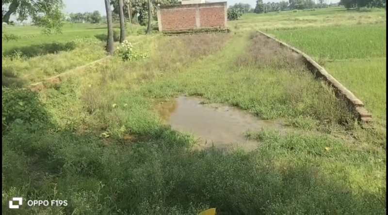 Rajgir, Nalanda photo 2