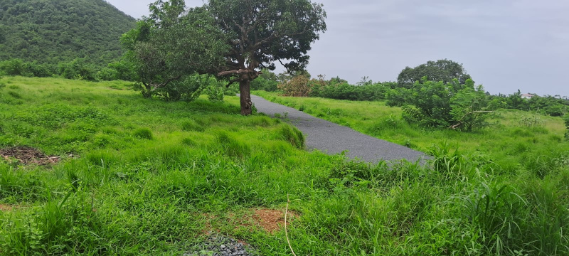 Residential Plot 325 Sq. Meter for Sale in Nuvem, South Goa,