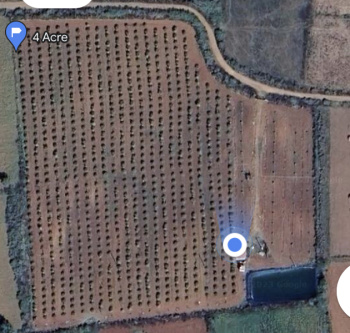  Agricultural Land for Sale in Kalasapura, Chikmagalur